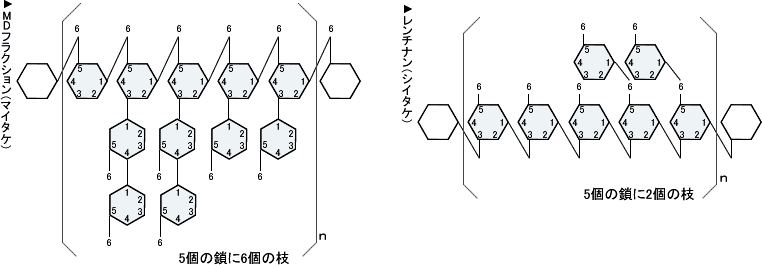 MDフラクション